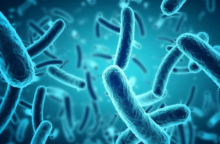 L'importanza del microbiota nella salute della pelle - SEGLE Biotech Skincare