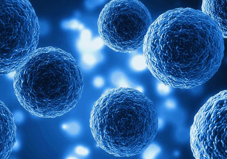 Cosa sono gli esosomi - SEGLE Biotech Skincare