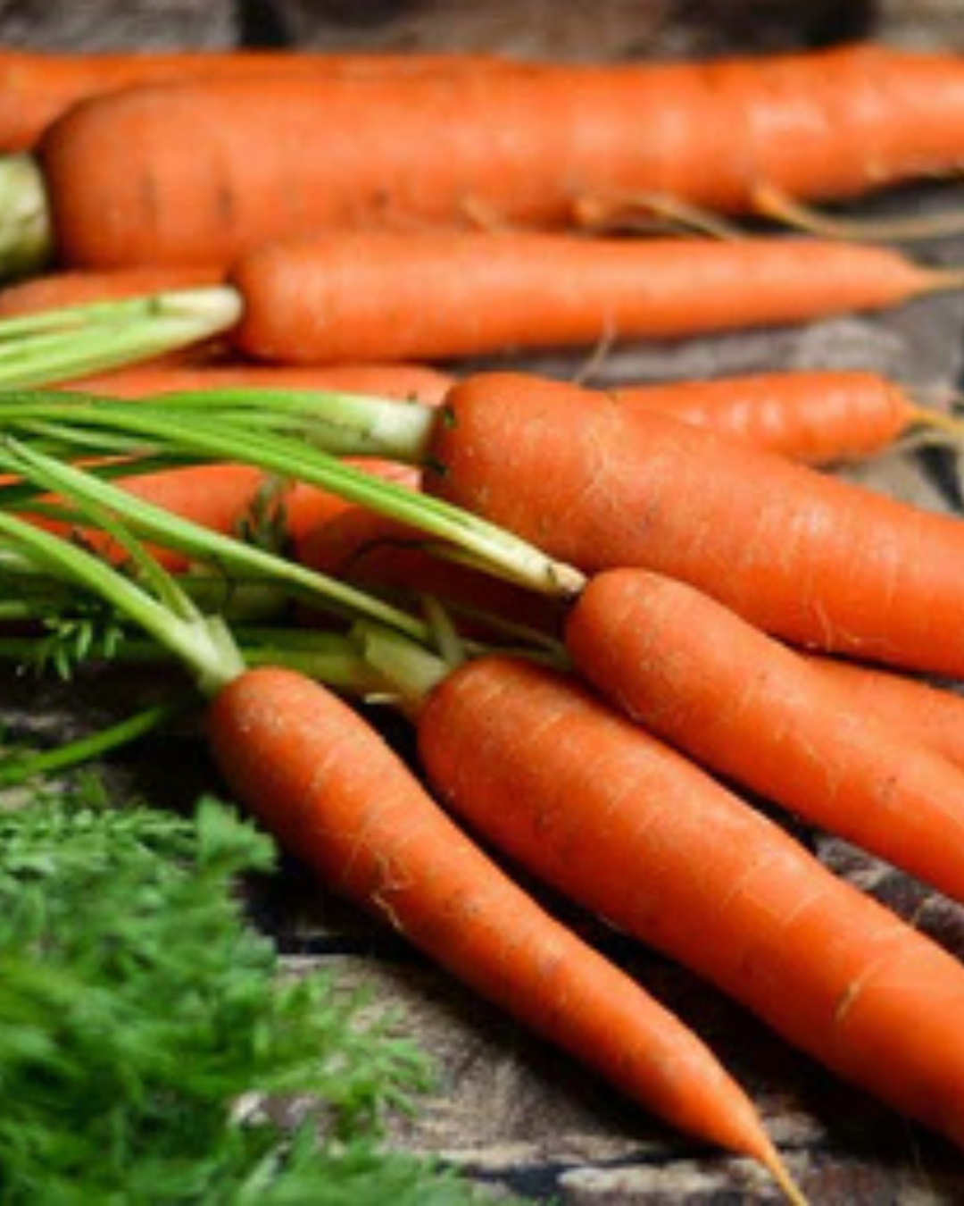 Olio di carota
