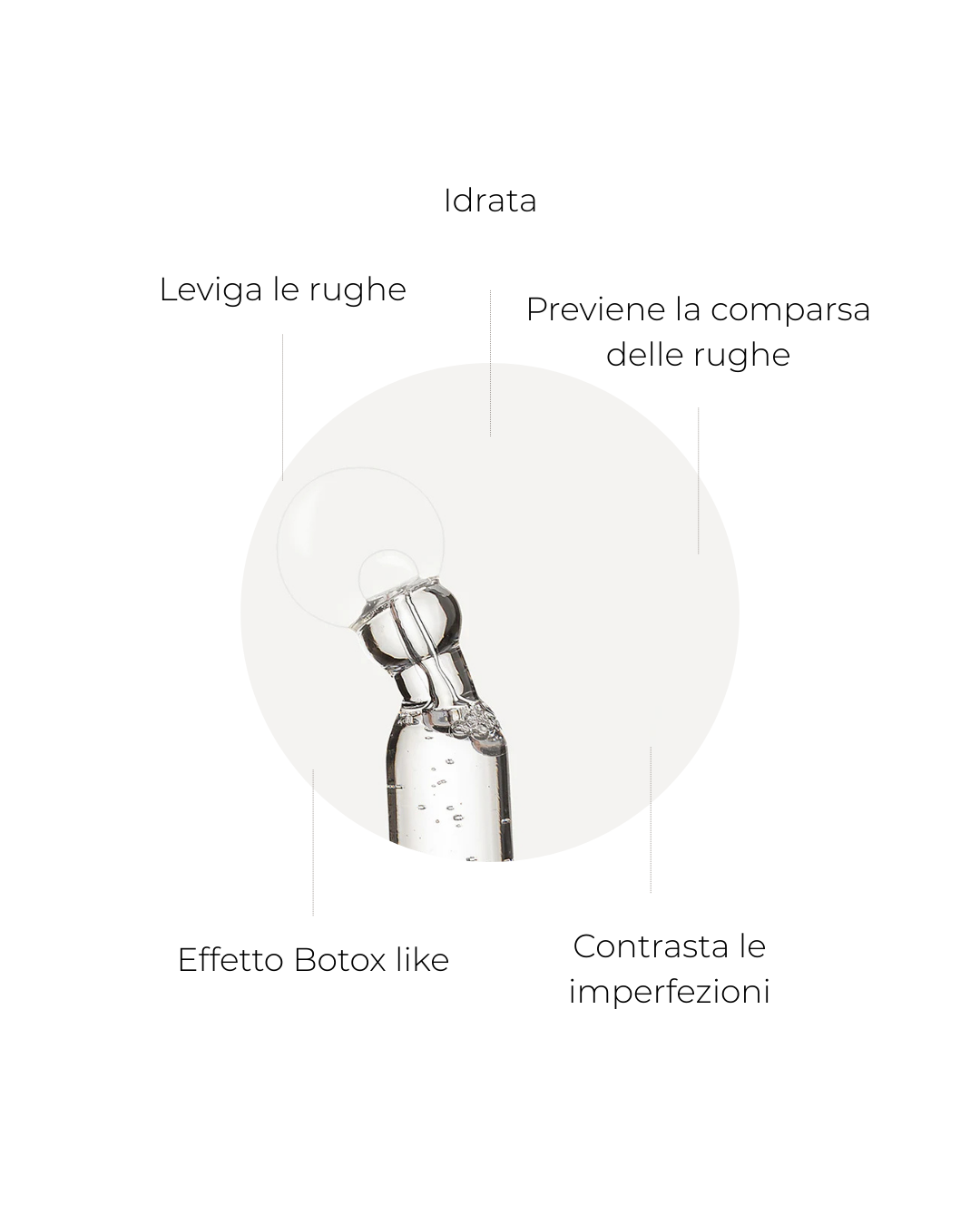 RESTAURA2.png