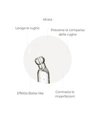 SEGLE SIERO RESTAURA