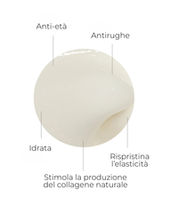 SEGLE CREMA RESTAURA