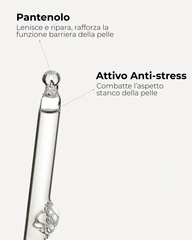 SEGLE SIERO VITAL C