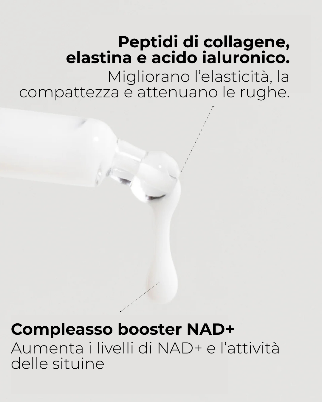 nad2.png