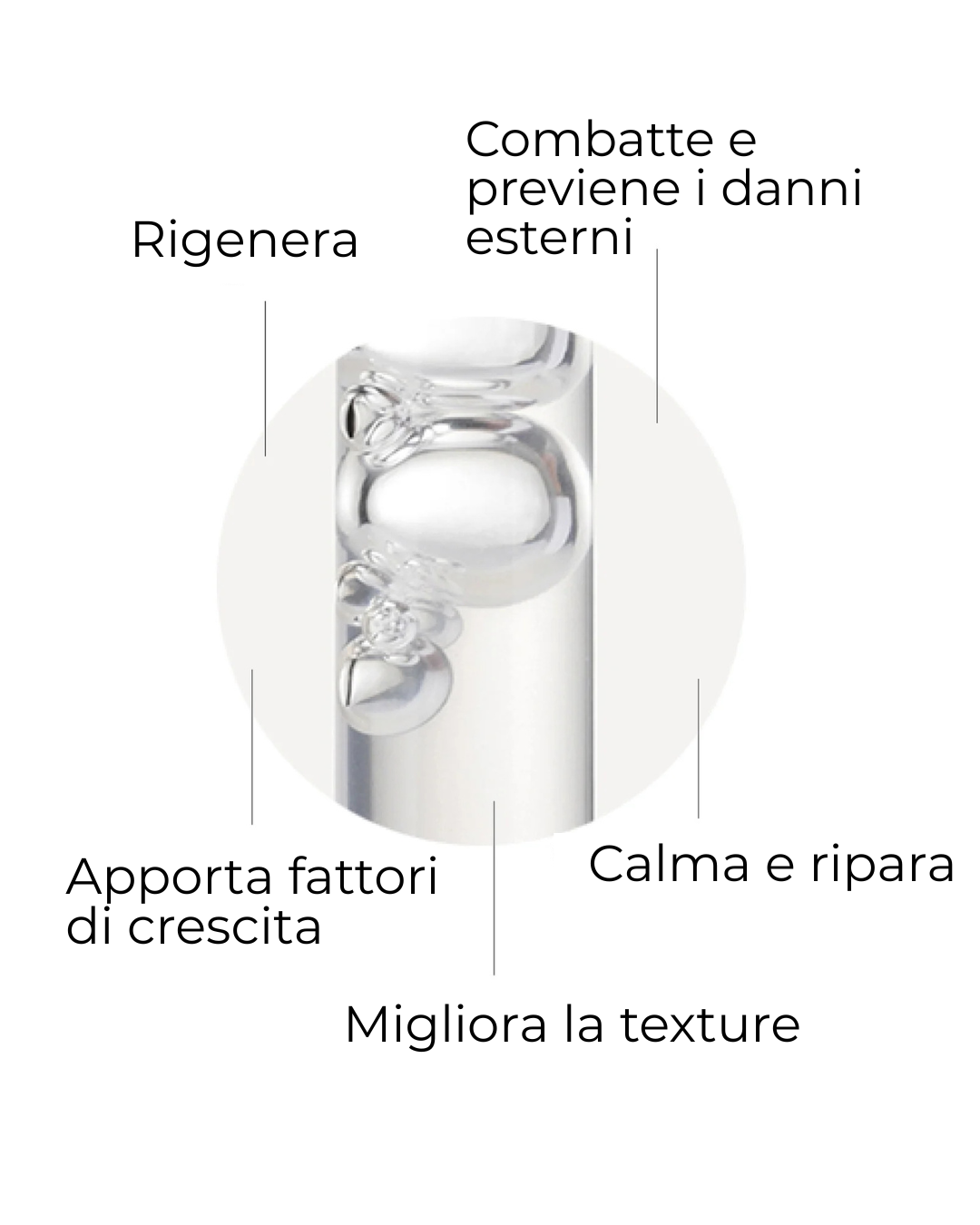 SEGLE SIERO SKIN FACTOR