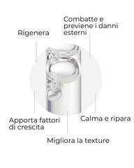 SEGLE SIERO SKIN FACTOR