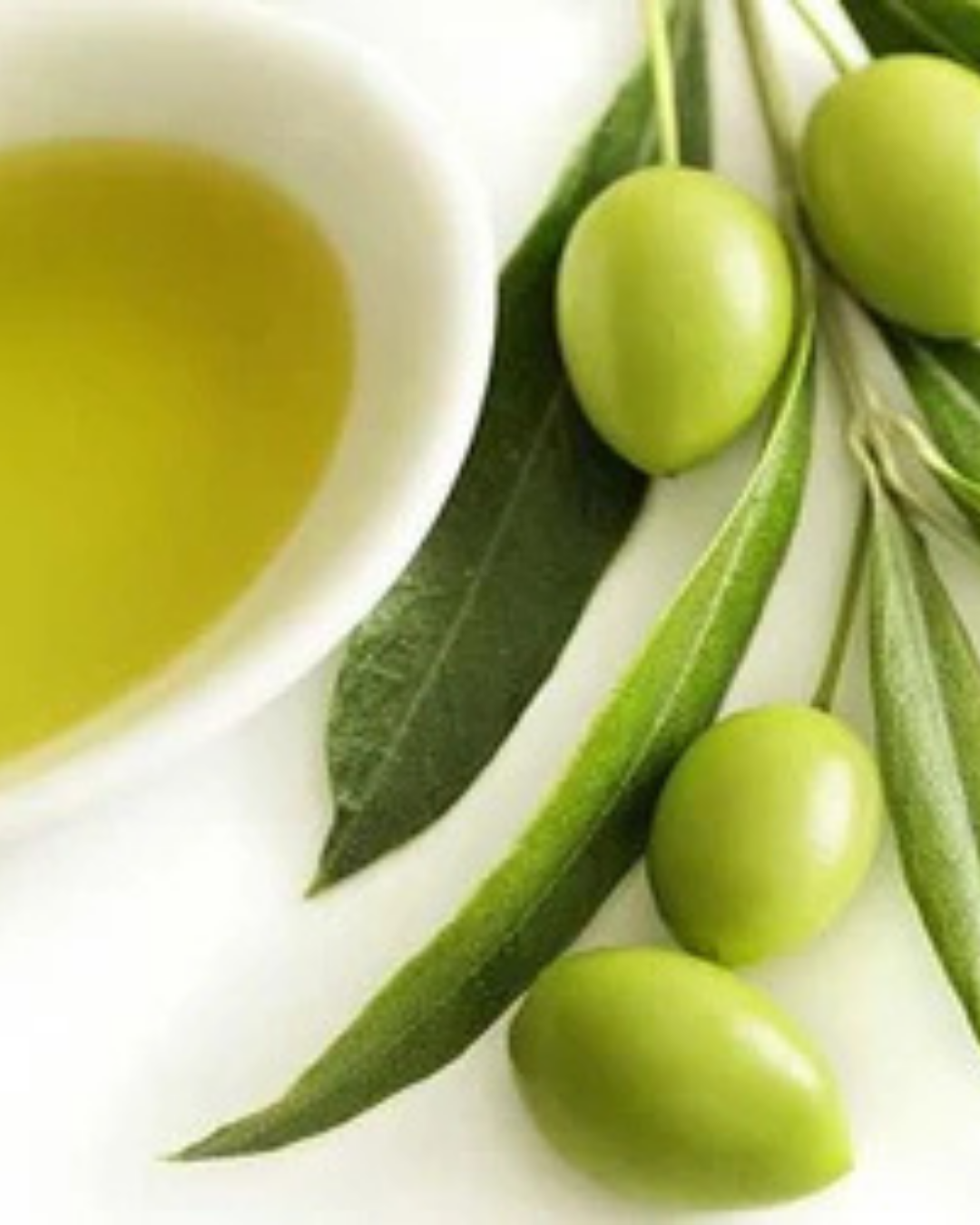 Biotecnologia verde: lo squalano più puro e sostenibile